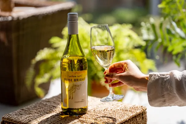 サッポロビール WINE OPENERの紹介画像